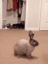 1752637978649.gif