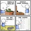 518 KB