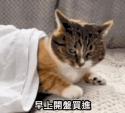 1785420425966.gif